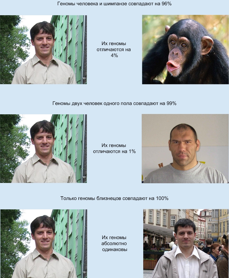 Различие генов у человека и животных