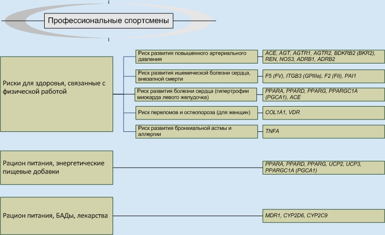 Анализ генов профессиональных спортсменов