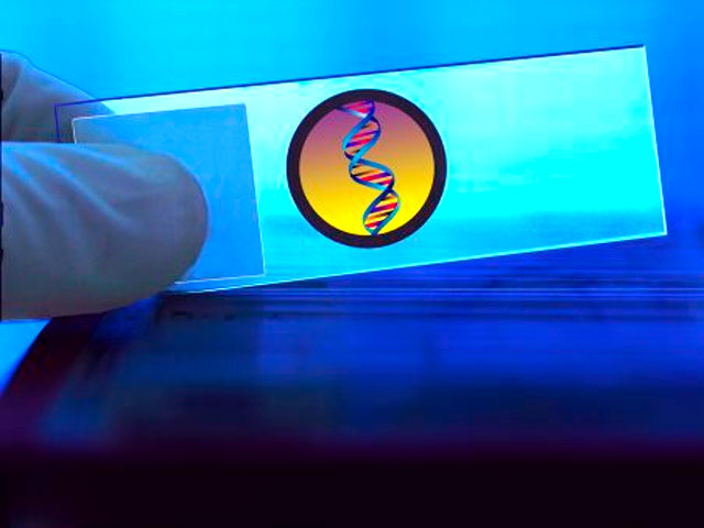 Тест ДНК