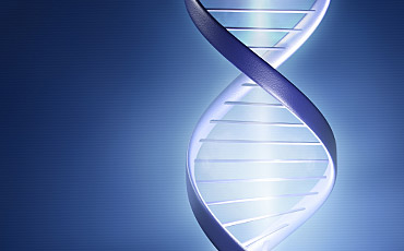 Интервью в программе «Вести» канала «Россия-1»