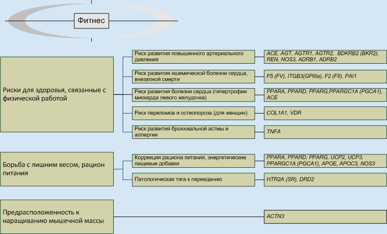Анализ генов для фитнеса